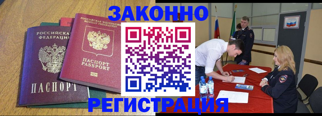 где прописаться в Ельне